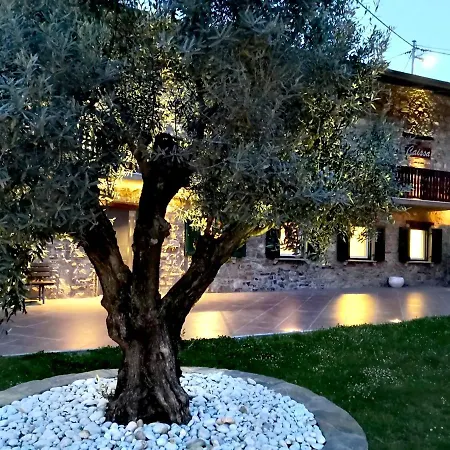 Caissa - An Old Country Lady In A New Modern Dress דירה