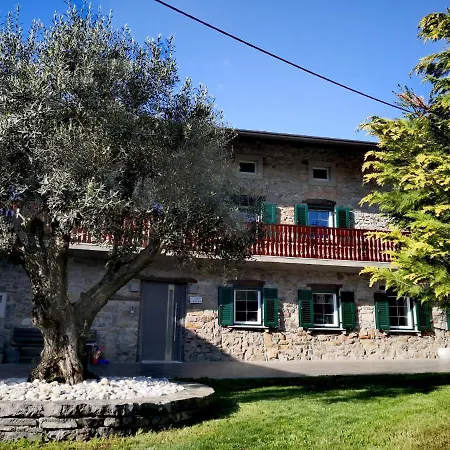 Caissa - An Old Country Lady In A New Modern Dress Deskle