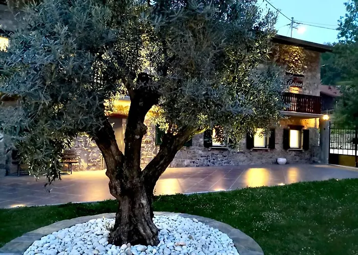 Caissa - An Old Country Lady In A New Modern Dress דירה