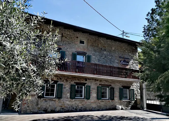 Caissa - An Old Country Lady In A New Modern Dress Deskle